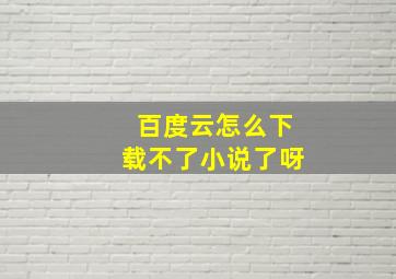 百度云怎么下载不了小说了呀