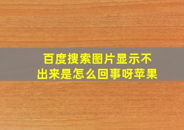 百度搜索图片显示不出来是怎么回事呀苹果