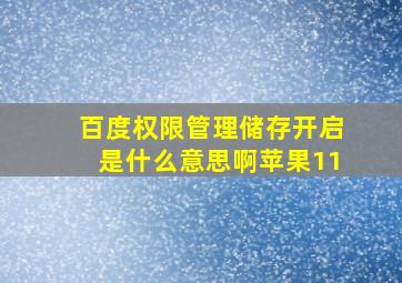 百度权限管理储存开启是什么意思啊苹果11