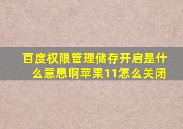 百度权限管理储存开启是什么意思啊苹果11怎么关闭