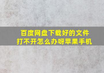 百度网盘下载好的文件打不开怎么办呀苹果手机