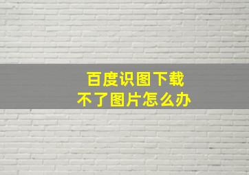 百度识图下载不了图片怎么办