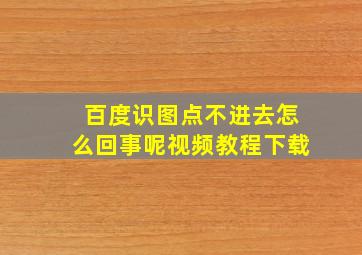 百度识图点不进去怎么回事呢视频教程下载