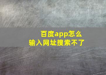 百度app怎么输入网址搜索不了