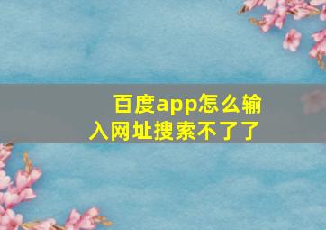 百度app怎么输入网址搜索不了了