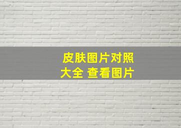 皮肤图片对照大全 查看图片