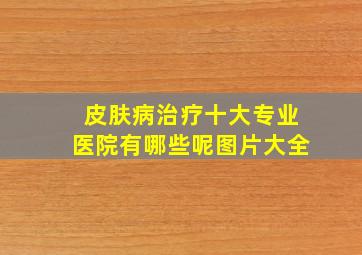 皮肤病治疗十大专业医院有哪些呢图片大全