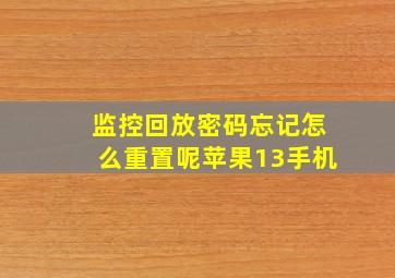 监控回放密码忘记怎么重置呢苹果13手机