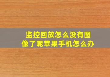 监控回放怎么没有图像了呢苹果手机怎么办