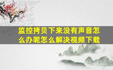 监控拷贝下来没有声音怎么办呢怎么解决视频下载