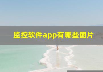 监控软件app有哪些图片