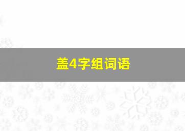 盖4字组词语