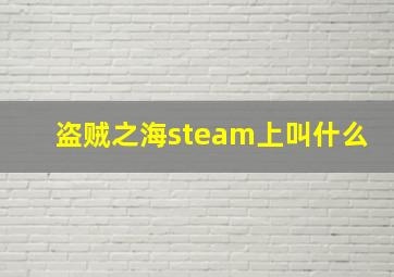 盗贼之海steam上叫什么