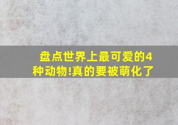 盘点世界上最可爱的4种动物!真的要被萌化了