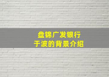 盘锦广发银行于波的背景介绍