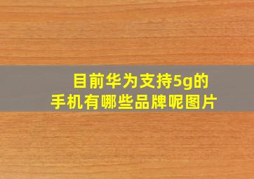 目前华为支持5g的手机有哪些品牌呢图片