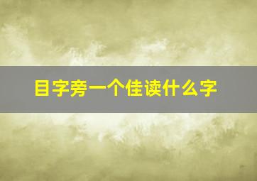 目字旁一个佳读什么字