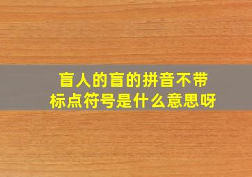 盲人的盲的拼音不带标点符号是什么意思呀