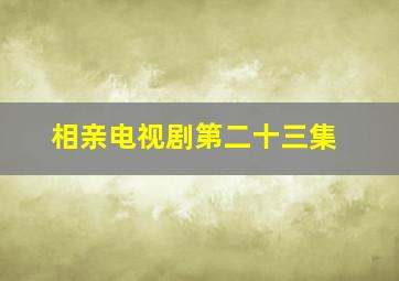 相亲电视剧第二十三集