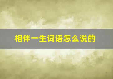 相伴一生词语怎么说的