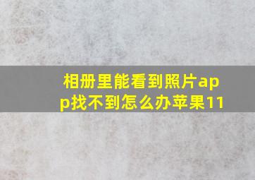 相册里能看到照片app找不到怎么办苹果11