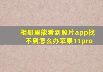 相册里能看到照片app找不到怎么办苹果11pro