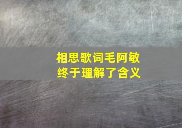 相思歌词毛阿敏 终于理解了含义