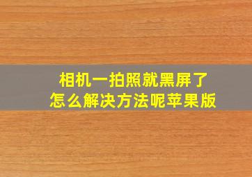 相机一拍照就黑屏了怎么解决方法呢苹果版