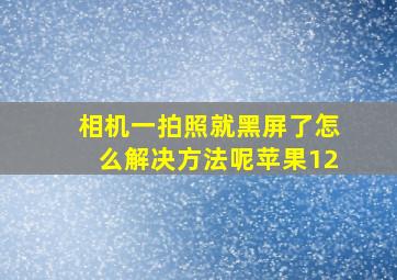 相机一拍照就黑屏了怎么解决方法呢苹果12