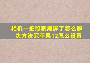 相机一拍照就黑屏了怎么解决方法呢苹果12怎么设置