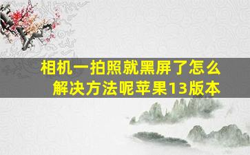 相机一拍照就黑屏了怎么解决方法呢苹果13版本