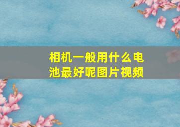 相机一般用什么电池最好呢图片视频