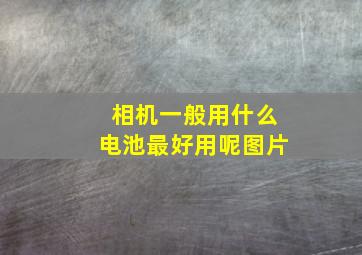 相机一般用什么电池最好用呢图片