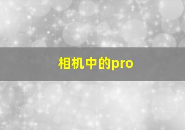 相机中的pro