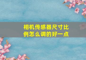 相机传感器尺寸比例怎么调的好一点