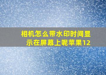 相机怎么带水印时间显示在屏幕上呢苹果12