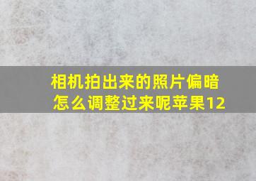 相机拍出来的照片偏暗怎么调整过来呢苹果12