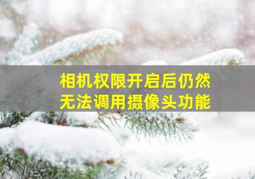 相机权限开启后仍然无法调用摄像头功能