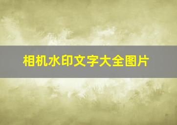 相机水印文字大全图片