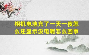 相机电池充了一天一夜怎么还显示没电呢怎么回事