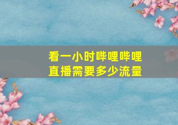 看一小时哔哩哔哩直播需要多少流量