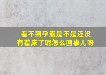 看不到孕囊是不是还没有着床了呢怎么回事儿呀