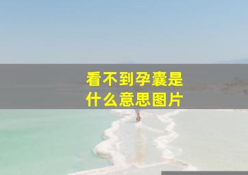 看不到孕囊是什么意思图片