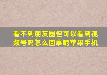 看不到朋友圈但可以看到视频号吗怎么回事呢苹果手机