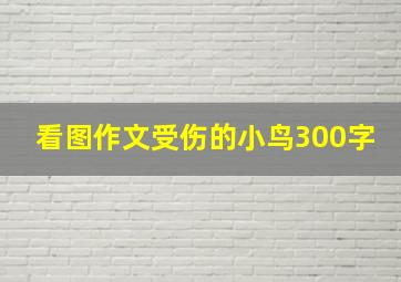 看图作文受伤的小鸟300字