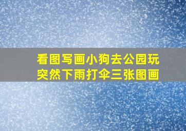 看图写画小狗去公园玩突然下雨打伞三张图画