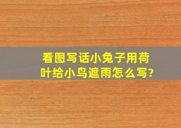 看图写话小兔子用荷叶给小鸟遮雨怎么写?