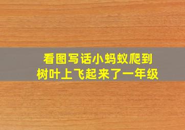 看图写话小蚂蚁爬到树叶上飞起来了一年级