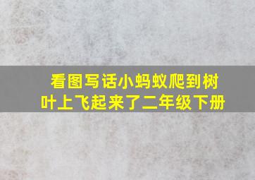 看图写话小蚂蚁爬到树叶上飞起来了二年级下册