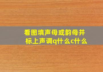 看图填声母或韵母并标上声调q什么c什么